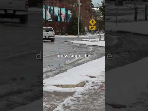 "HEILIGE SCHNEEBALLSCHLACHT": Nonnen und Priester lassen es in Louisiana schneien! | WELT #shorts