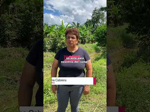 Riego y Drenaje realiza mantenimiento de sistemas de drenaje en los Hachos #Yantzaza.