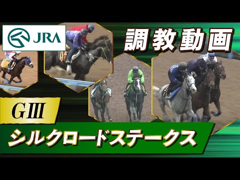 【調教動画】2026年 シルクロードステークス｜JRA公式