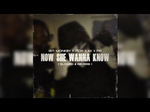 (67) Monkey x Itch x AK x PR SAD - Now She Wanna Know [ Slowed & Reverb ]