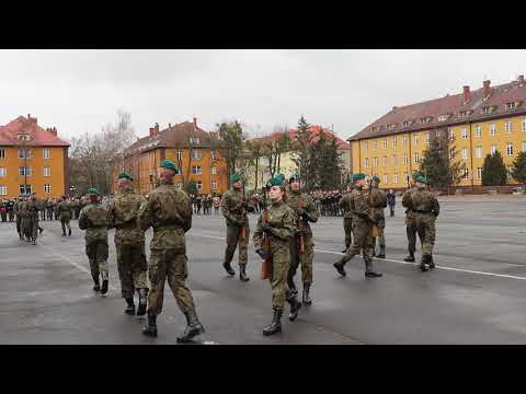 Musztra paradna AWL 11 kszkol