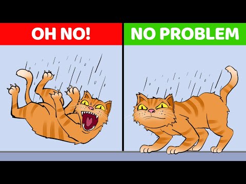 Why Cats Always Land On Their Feet (And 9 Other Cool Cat Powers Explained)