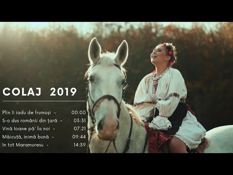 Colaj 2019  - Andreea Ghitiu