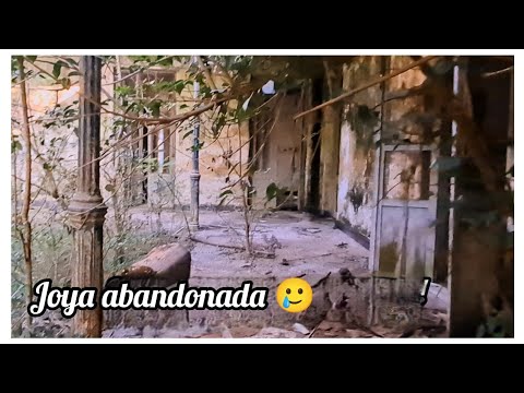 La #estancia QUE el ESTADO Y #UTE EXPROPIARON y DEJARON  ABANDONADA 