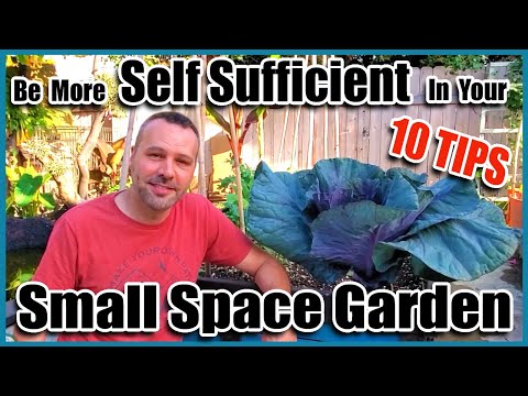 10 Tips to Be More Self Sufficient In Your Small Space Garden