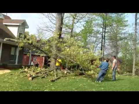 Downs Tree Service Nashville Tn