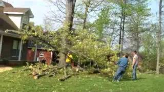 Downs Tree Service Nashville, tn