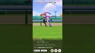 レジェンドレース vsメジロマックイーン(エンド･オブ･スカイ)