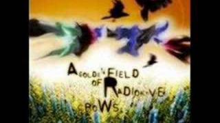 77s - A Golden Field of Radioactive Crows - Down From You