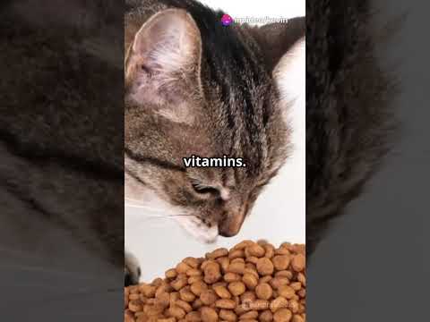 Purrfect Cat Nutrition: What Your Feline Friend Needs! #CatDiet #FelineNutrition #PurrfectlyFed