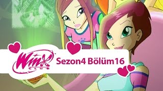 Winx Club - 4. Sezon 16. Bölüm  - Sanal Dünya [TAM BÖLÜM]