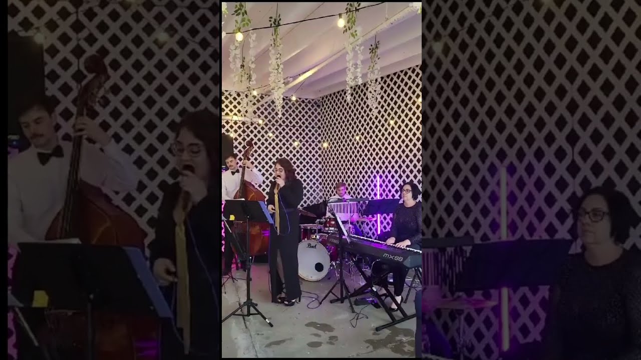 Promotional video thumbnail 3 for Sasha Band