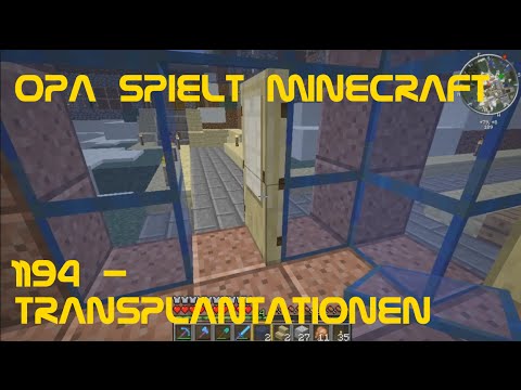 Opa spielt Minecraft 1194 - Transplantationen