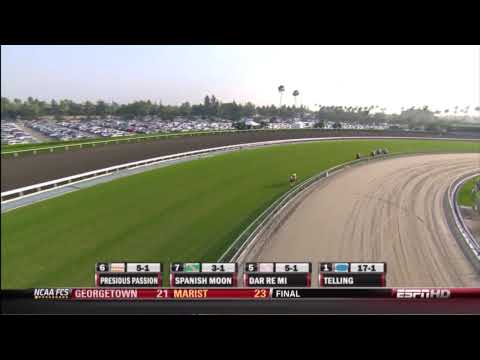 2009 Emirates Airline Breeders' Cup Turf