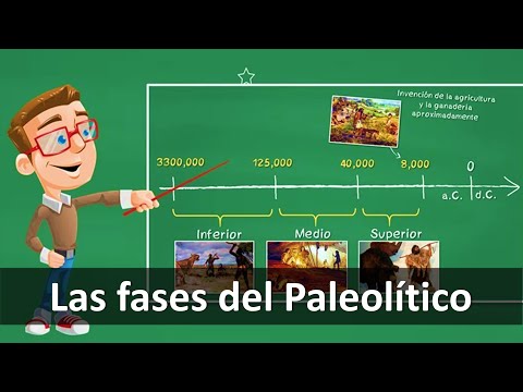 ⭐¿Cuáles son las fases del Paleolítico? 📘 aulamedia
