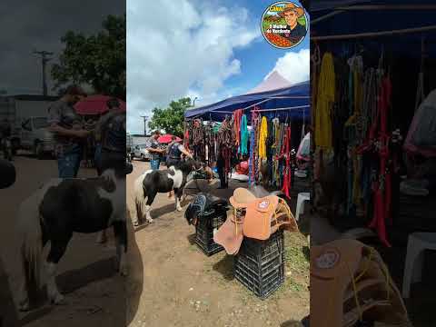 Feira de Cavalo de Abreu e Lima-PE Sábado:25/04/26 #cavalo #Viral
