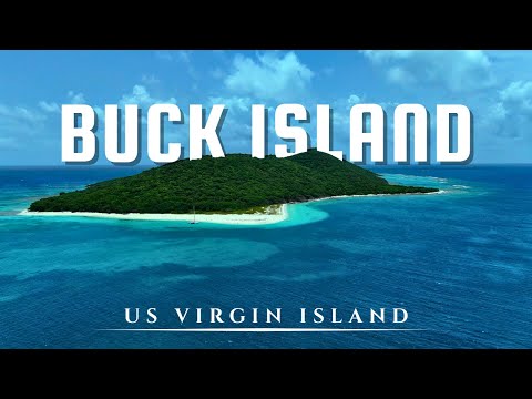 Explore the HIDDEN GEM of Buck Island St Croix