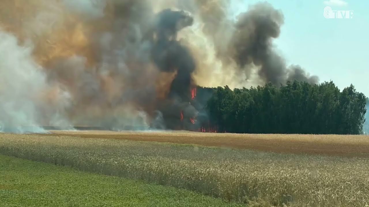 Pożar lasu w Gminie Wróblew