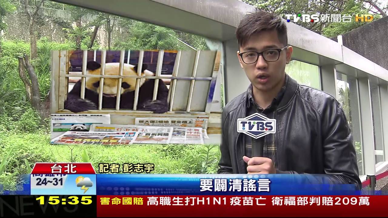 團團得犬瘟熱死亡? 陸媒傳「死訊」攏是假