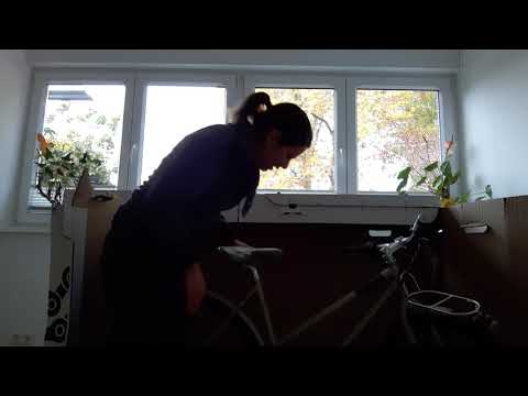 Fahrrad XXL Unboxing - Creme Ristretto Speedster ST