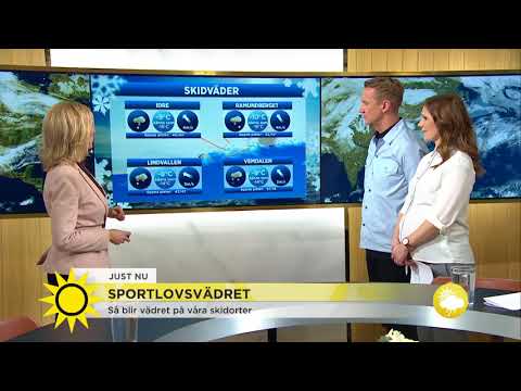Meteorologen utlovar vårkänslor för morgondagen - Nyhetsmorgon (TV4)