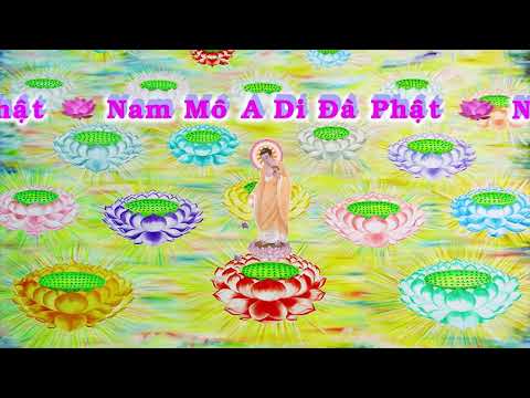 HD | Kinh A Di Đà Sớ Sao Diễn Nghĩa, tập 193 [phụ đề] - Lão Pháp Sư Tịnh Không