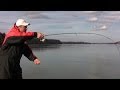 Casting Techniques - 5 Styles and Methods of Casting with your Fishing Rod