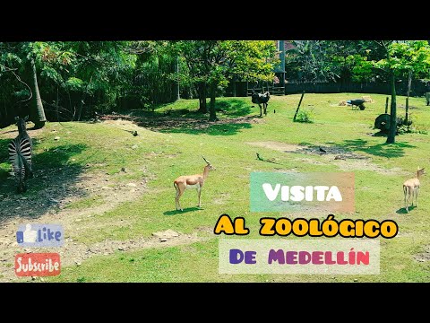 Visita al zoologico la conservación🦓🦛 de Medellín°📸🏍️☺️