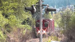 preview picture of video 'Eastside Freight Railroad locomotive SW1200 EFRX-109'