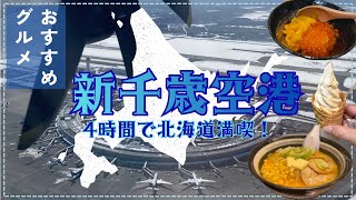 北海道Vlog✈︎新千歳空港✈︎4時間で北海道満喫！ハワイに行く前に寄り道🏝️旅/アラ還夫婦旅