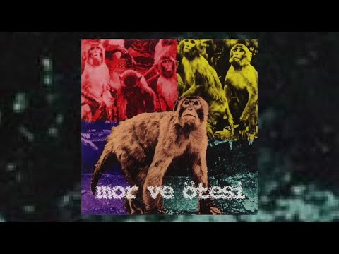 Video thumbnail for Beyaz
