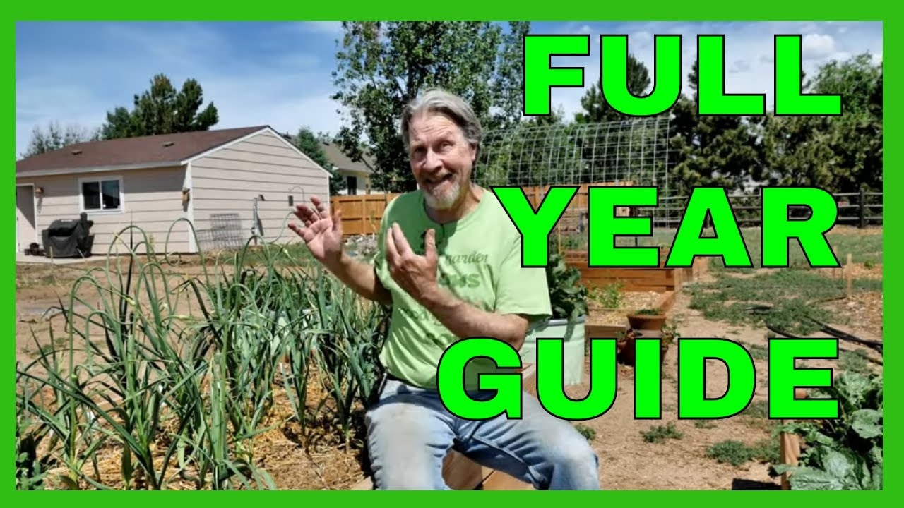How to Grow Garlic - COMPLETE GUIDE (Planting to Harvest) - YouTube