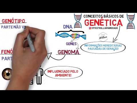 SUMMARY - Basic Concepts of Genetics - 3rd Year