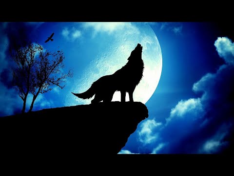 |AOV| Unstopper Montage #2