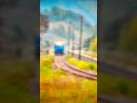 R 3651 Bratca Oradea cu Mega concert de goarne.  2014