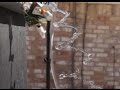 Amazing Water Experiment With SOUND