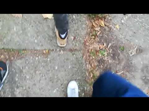 Svi u Šumice, Konjarnik igra!