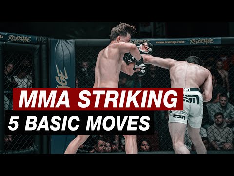 Jeder MMA Einsteiger sollte diese 5 Striking Muster können!