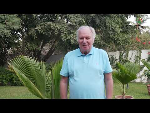 interview sentex Stephan rehlan