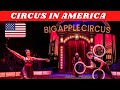 Big Apple Circus In New York City Happy Home Maker Subhra Circus In New York Hindi Vlogs