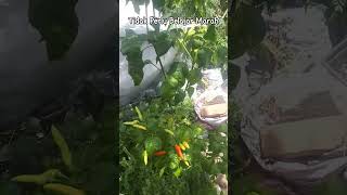 Download lagu Tidak Perlu Belajar Marah | Ngaji Filsafat Dr. Fahruddin Faiz, M. Ag mp3