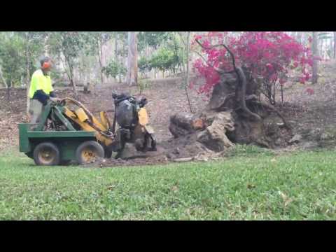Stump Grinding a Rootball