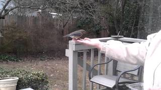 I could be in heaven