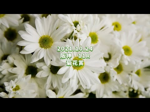 2021.10.24  阪神11R  菊花賞