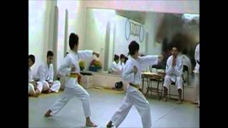 preview picture of video 'Nuova Athlon Karate - Esame Cintura Arancio - San Pancrazio Salentino (BR)'