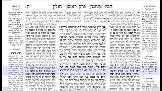 דף היומי מנחות דף יג