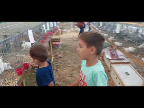 Ferma daniel 3 septembrie 2022.Agromalim arad 2022.