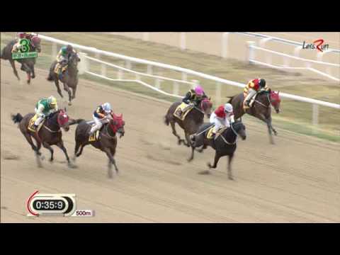 October 28, Busan Race 3
