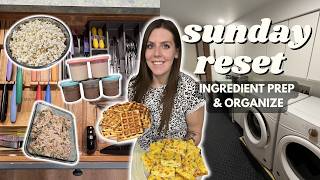 Sunday RESET | Ingredient/Meal Prep, Organize | Staying on Track | Creami Ice Cream & Chicken Salad