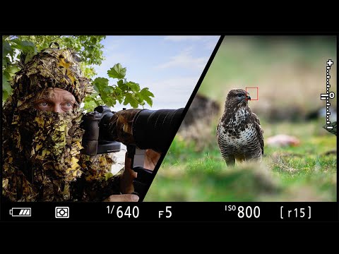 2 AUTOFOCUS TECHNIQUES you must master for Wildlife Photography | shutter and back button autofocus